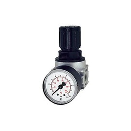 RIEGLER R 05-3 multifix-mini pressure regulator including pressure gauge, size 0, G 1/8 inch, 0.1-3 bar