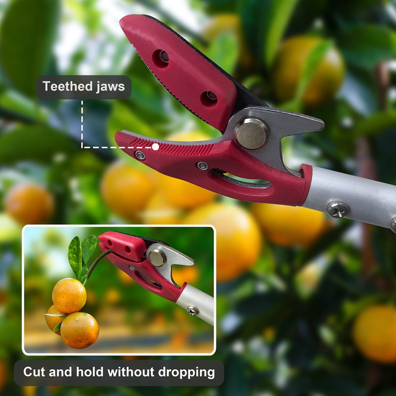 Prunrt Tree Trimmer, 2 Foot Pole Pruner, Long Reach Pruning