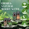 Woody Essential Oils Set - 6x10ML Woody Scents Fragrance Oil