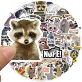 50Pcs Kawaii Stickers, Cartoon Raccoon Stickers Cute Stickers Pack Kids Waterproof Sticker Aesthetic Vinyl Stickers, Skateboard Stickers for Teens Girls Kids (Cartoon Raccoon004)
