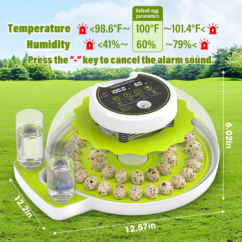 Quail Egg Incubator for Hatching 40 Quail Eggs with Automatic