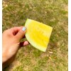 TomorrowSeeds - Yellow Petite Watermelon Seeds - 20+ Count -