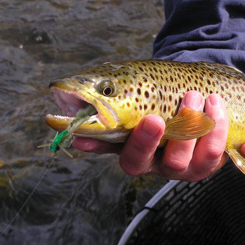 Goture Fly Fishing Flies, Damselflies Dragonflies Dry Wet Flies Streamers