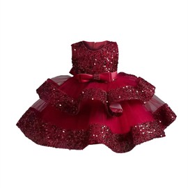 Miipat Baby Girl Pageant Dress Sequins Princess Dress Toddler Flower Wedding Birthday Party Gown Dresses(Wine,3-4T)