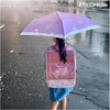 50cm Children's Folding Umbrella, Carabiner Handle, 1 Clear Window, Folding