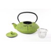 Japanese Antique 27 Fl Oz Green Dragonfly Cast Iron Teapot