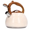 Whistling Tea Kettle 3L Large Capacity Home Stainless Steel Whistle