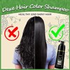 Dexe Black Hair Shampoo 400 ML Instant Hair Darkening Dye