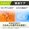 LUCIDO (ルシード) 【医薬部外品】 Medicated Scalp Deo Shampoo Herbal Citrus [
