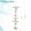 Coastal Starfish and Seashell Wall Decor with Driftwood
