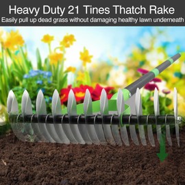Thatch Rake for Lawns, Dead Grass Dethatcher Rake Removal Tool Heavy Duty Long Handle 54 inch, 13 inch Wide 11 Tines Manual Lawn Thatcher for Loosening Soil in Yard Garden