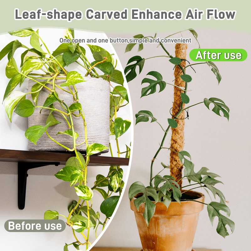 Professional-Designed Bamboo Seed Storage Box with Built-in Hygrometer, Double-Layer Airtight