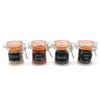 Homelike Style 1.7 oz Mini Glass Spice Bottles, 24 Pack