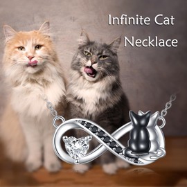 POPLYKE Phoenix Necklace 925 Sterling Silver Abalone Phoenix Jewellery for Women Pendant Necklace Jewellery for Women Mum, Sterling Silver, Cubic Zirconia