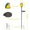 Afirst Solar Frog Garden Stake Lights Hand Blown Glass Decorative