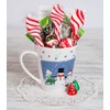 Candy Cane Spoons Peppermint Flavored - 12 Count