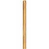COASTWIDE CW57741 60-Inch Wood Push Broom Handle, Threaded Metal Tip