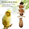 Parakeet Beak Stone Parrots Trimming Chew Toys Set Bird Nuts