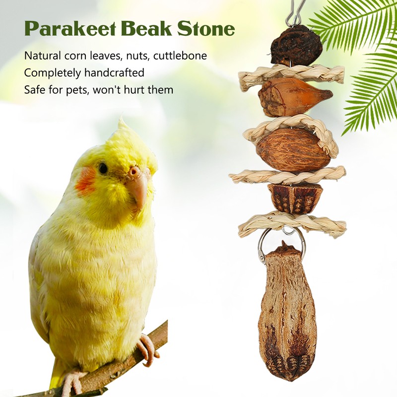 Parakeet Beak Stone Parrots Trimming Chew Toys Set Bird Nuts