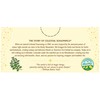 Celestial Seasonings Herbal Tea, Mint Magic,Caffeine Free, 20 tea bags
