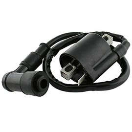 Ignition Coil for Honda 30501-958-000 30510-167-003 30500-958-000 30500-Vm3-405