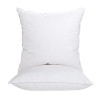 ANT-HOME 22"x22" Pillow Inserts Soft Feather Pillow Set of 2