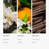Aroma360 Parfum - Men's Cologne & Women's Perfume - Unisex