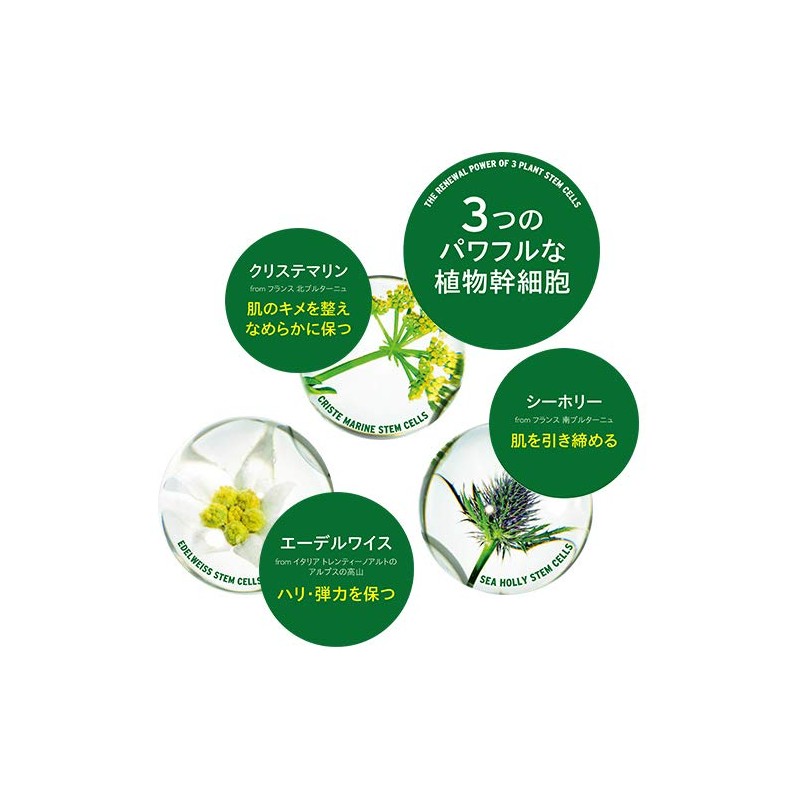 The Body Shop Youth Cream DOY 1.7 fl oz (50
