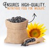 Ernst Grain & Livestock Black Oil Sunflower Seeds - Birdseed