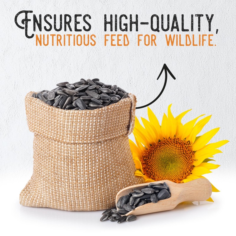 Ernst Grain & Livestock Black Oil Sunflower Seeds - Birdseed