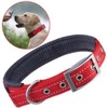 PETBABA Dog Collar, Leather, Dog Collar, Medium Dog, Large Dog,