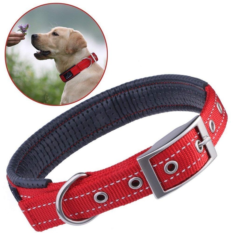 PETBABA Dog Collar, Leather, Dog Collar, Medium Dog, Large Dog,