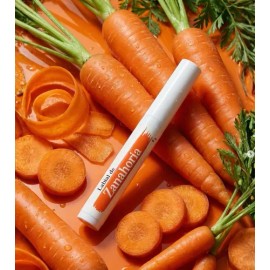 Labial De Zanahoria Vegano - Cosmético Vegetal                                                                                                        