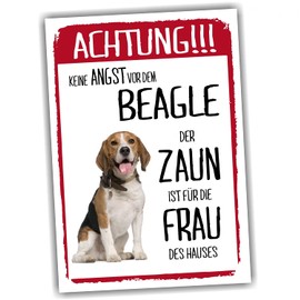 Beagle Sign Warning Fence Woman Saying Door Sign Dog Sign Warning Sign Gift Idea Funny Saying Dog Motif Aluminium Weatherproof Dog Sign
