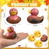 Jerify Thanksgiving Rubber Ducks 2 Inch Fall Rubber Duck with