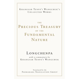 The Precious Treasury of the Fundamental Nature