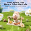 mini&moe Hamster Chew Toys for Teeth - Guinea Pig Chews