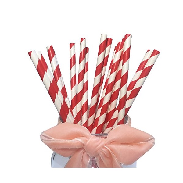 YYECO Red and White Paper Drinking Straws - 100 Pack
