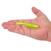 Berkley PowerBait Curly Bones Fishing Soft Bait