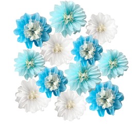 12pcs 10in 12in Tissue Paper Pom Poms Paper Flower Decorations Party Decorations Hanging Flowers for Wedding Birthday Baby Shower Nursery Wall Decor White Blue
