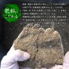Kanoya Deep Steamed Tea Tenjin (Tenjin) 3.5 oz (100 g),