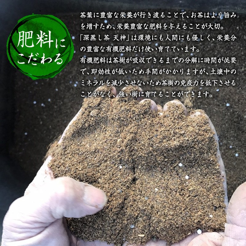 Kanoya Deep Steamed Tea Tenjin (Tenjin) 3.5 oz (100 g),