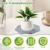 2 Packs Plant Saucer for Indoors, Diatomaceous Earth Pot Saucers