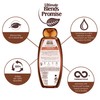 Garnier Ultimate Blends Coconut Oil Frizzy Hair Shampoo, 360ml