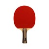 Softee Tennis Bat - Red/White, One Size