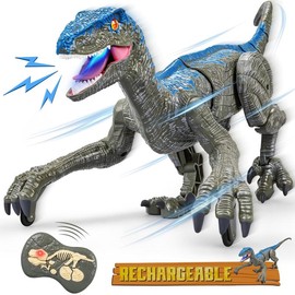 Remote Control Dinosaur for Kids,2.4G Electronic RC Toys Velociraptor with 3D Eye Shaking Head &Roaring Sounds,Indoor Toys for 5 6 7 8 Year Old Gifts - Color: Gray