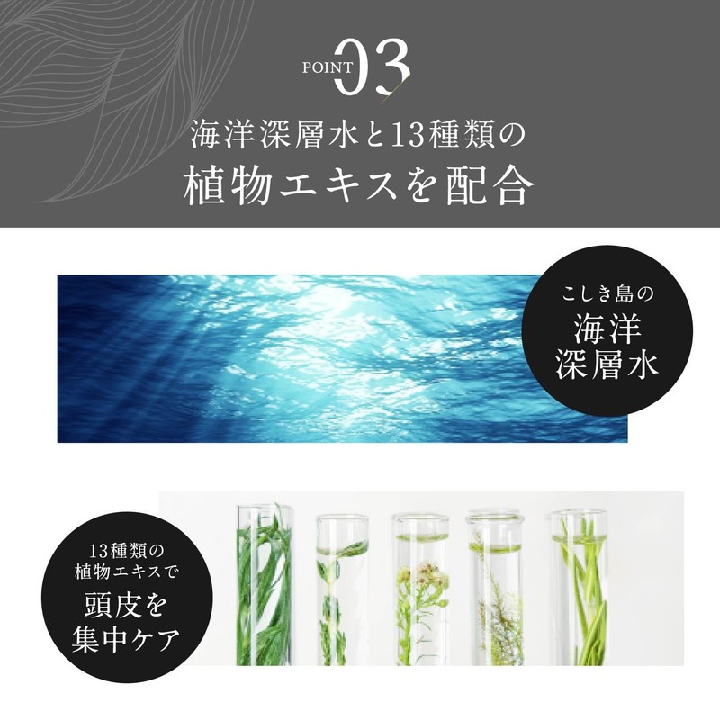 Kirewabi Root Vanish Gray Hair Care Serum, Single Item, Beauty
