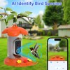 Hummingbird Feeder with Camera for Outdoor - 2K QHD Video,