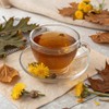 Premium Dandelion Leaf & Root Tea,50 Tea Bags /3.53Oz, for