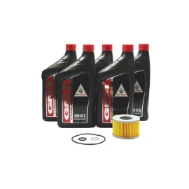Honda 2001-2005 Honda Foreman Rubicon 500 TRX500 FA FGA GPScape OEM Oil Change Kit H37